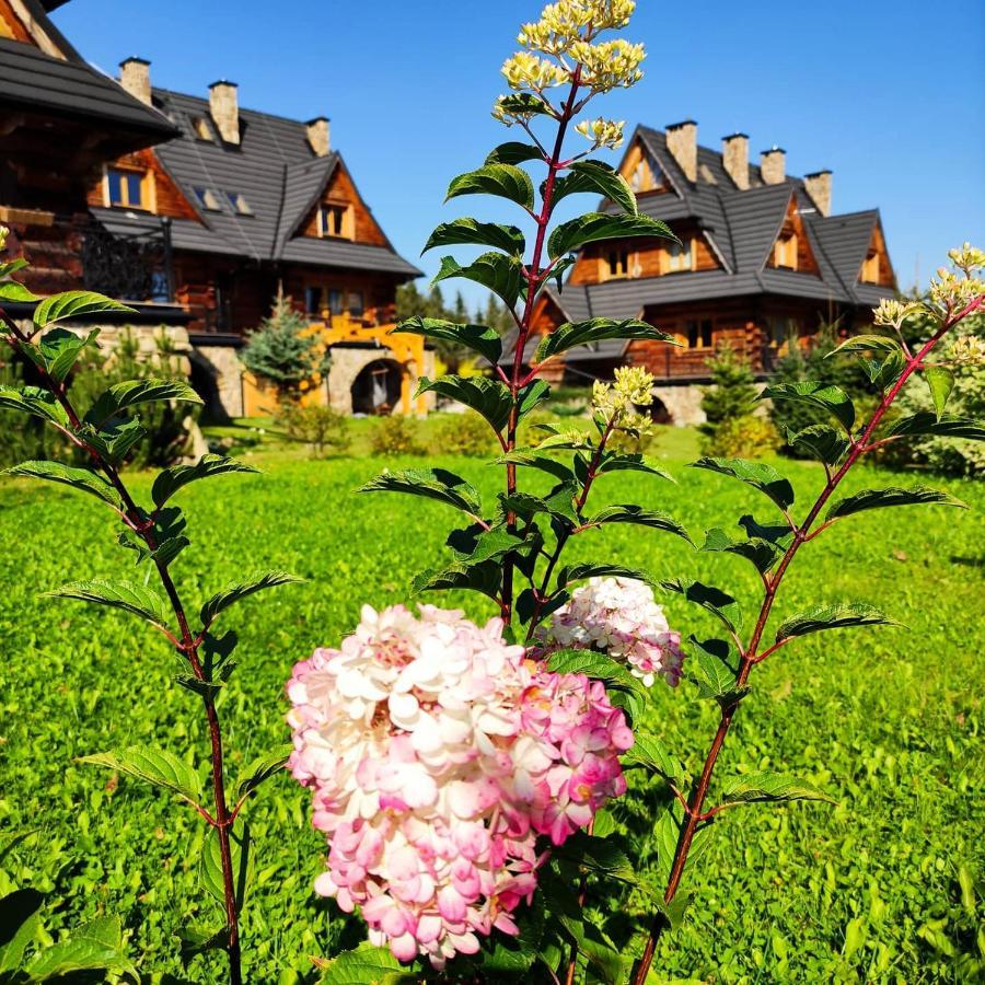 Krokus Park Residence Kościelisko Exterior foto